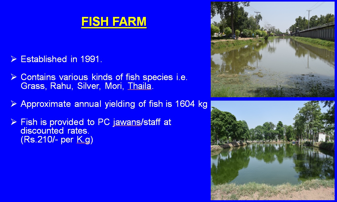 fish-farm-punjab-constabulary